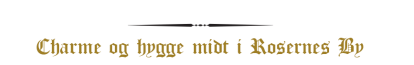 skærmbillede 2025-06-27 091225